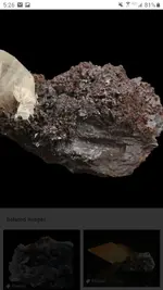 Screenshot_20190921-052622_Chrome.webp