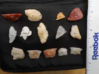 DSCN1530.webp