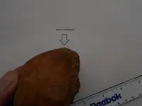 DSCN1539.webp