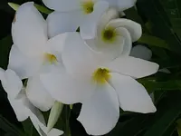 20190921_080633.webp