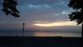 67152792_10215389523559066_5494870502964985856_n.webp