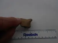 DSCN1552.webp