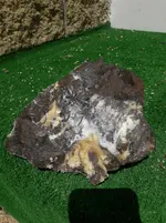 20190719_114837.webp