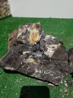 20190719_114832.webp
