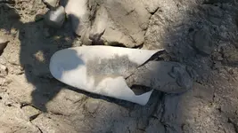 20190805_110618.webp