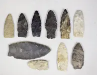Paleo.webp