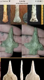 ImageUploadedByTreasureNet.com1563565759.062813.webp