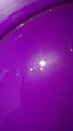 20190805_180314.webp