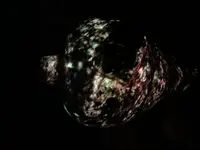 53767A17-0A2B-4E38-9927-DC27240188D2.webp