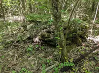 IMG_20190624_120215.webp