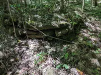 IMG_20190624_120237.webp IMG_20190624_120237.webp
