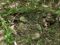 IMG_20190624_120203.webp
