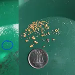 First Speck Ever vs Yesterday.webp