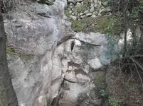 20190430_174137.webp 20190430_174137.webp