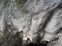 20190430_174114.webp