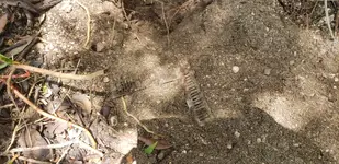 20190817_134437.webp