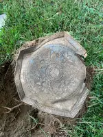 ImageUploadedByTreasureNet.com1565056575.059645.webp