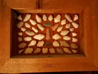 DSCN1561.webp