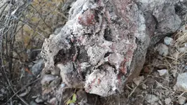20190806_074623.webp 20190806_074623.webp