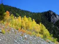 trip 092019 9.webp