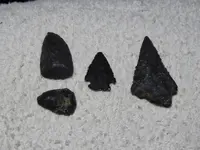 DSCN0458.webp