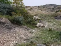 20190920_103844.webp 20190920_103844.webp