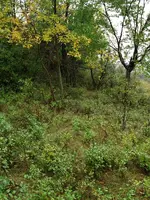 20190920_115437.webp