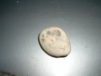 DSCF0009(1).webp