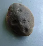 DSCF0011(1).webp