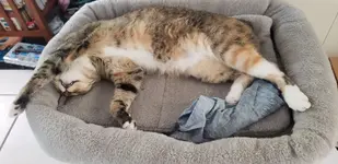 20190818_100133.webp