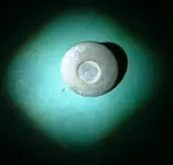 DSCF0026.webp