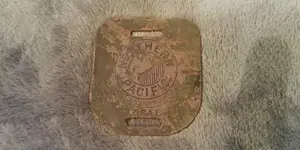 NPYL.webp