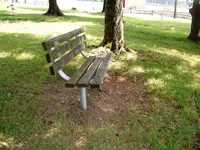 DSCF0007.webp