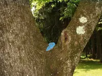 DSCF0006.webp