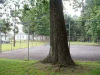 DSCF0001.webp