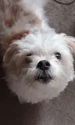 20190813_165517.webp
