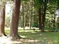 DSCF0012.webp