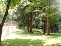 DSCF0013.webp