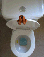 add3a06f187bfec9dcbae6b9650a140a.gif add3a06f187bfec9dcbae6b9650a140a.gif