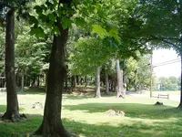 DSCF0022.webp