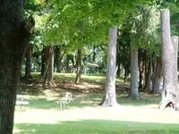 DSCF0023.webp