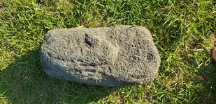 20190727_180537.webp