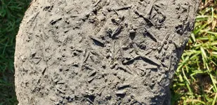 20190727_180548.webp