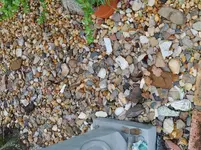 20190806_181212.webp