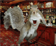 c9d84dbdcfe4b5e3e17c4229aae8c859.gif