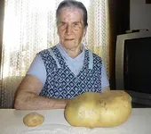 49334677.webp