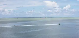 20190824_142235.webp