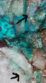 20190921_152236.webp