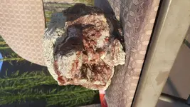 20190904_065137.webp