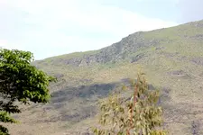 20190523_031954.webp